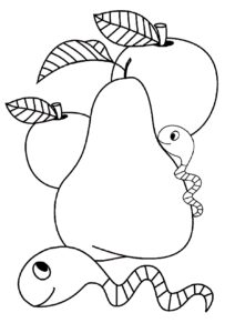 Armut Boyama Sayfası Indir 1