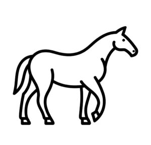 At Süliyeti Boyama Sayfası