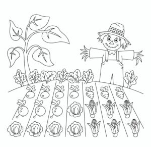 Çiftlik Ürünleri Boyama Sayfası