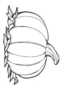 Kabak Boyama Sayfası Indir