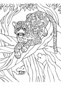 Ağaçta Leopar İndir