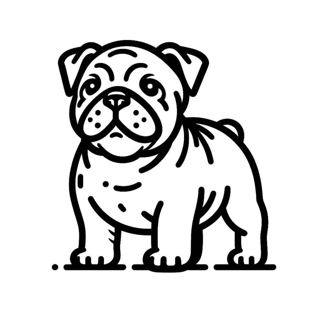 Bulldog Boyama Sayfası