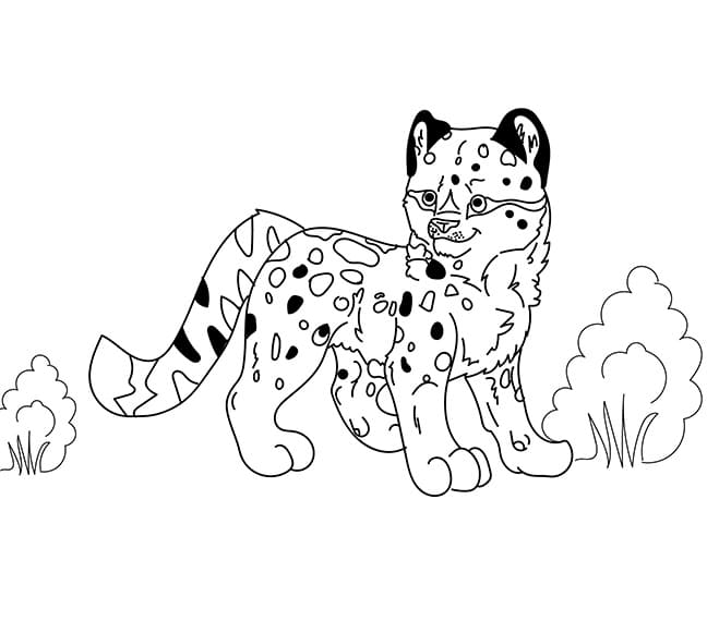Leopar Yavrusu Boyama Sayfası