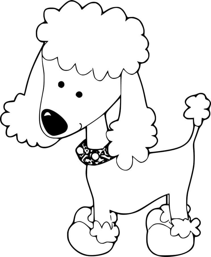 Kaniş Köpek Boyama Sayfası