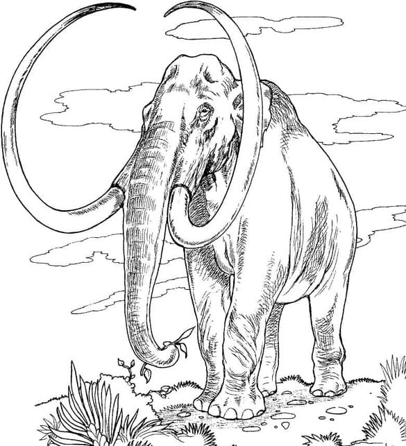 Mamut Boyama Sayfası