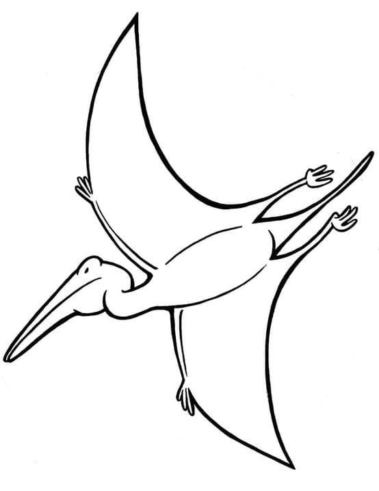 Pterodaktil Boyama Sayfası