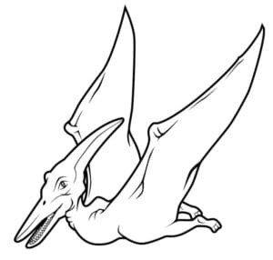Çizmek Pterodaktil Ücretsiz Boyama Sayfası İndir