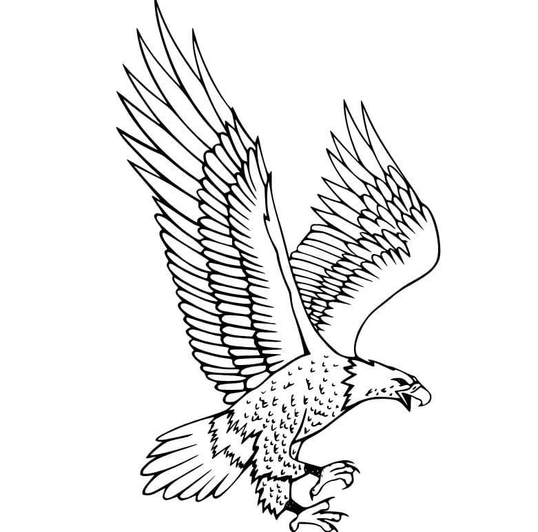 Kartal Boyama Sayfası