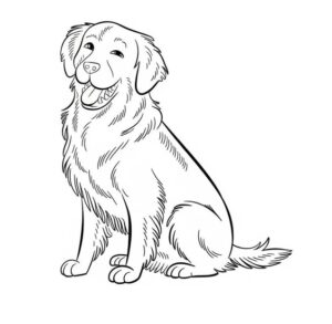 Goruntu Golden Retriever Ücretsiz Boyama Sayfası İndir