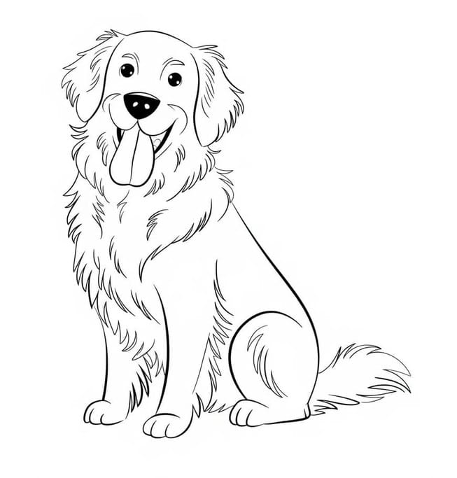 Golden Retriever Köpek Boyama Sayfası