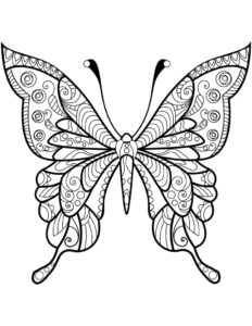 Kelebek Zentangle Boyama Sayfası İndir