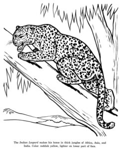 Kızgın Leopar İndir
