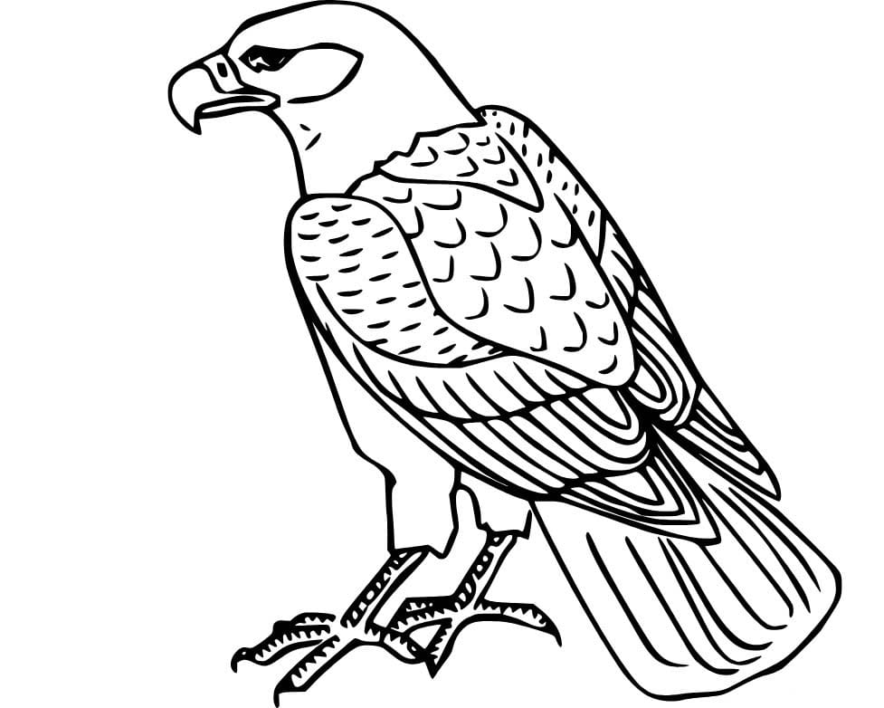 Kartal Boyama Sayfası