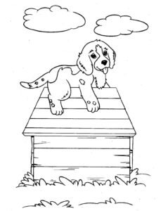 Köpek Evi Üzerinde Köpek İndir