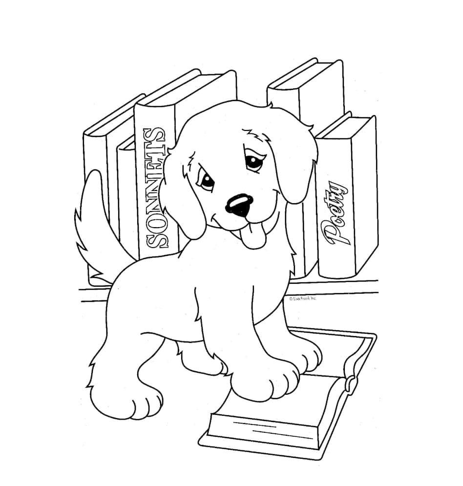 Kitaplıkta Kitap Okuyan Köpek Boyama Sayfası