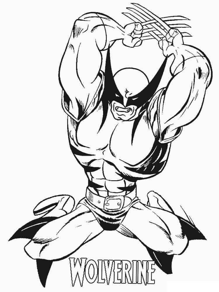 Wolverine Boyama Sayfası