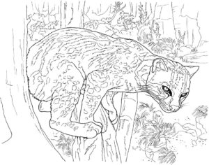 Leopar 2 İndir