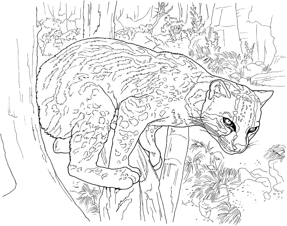 Leopar Boyama Sayfası