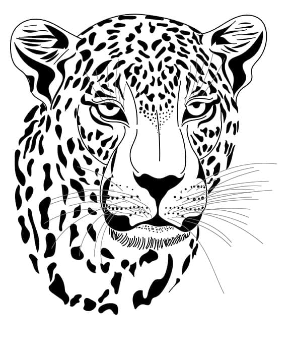 Leopar Başı Boyama Sayfası