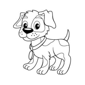 Normal Köpek İndir