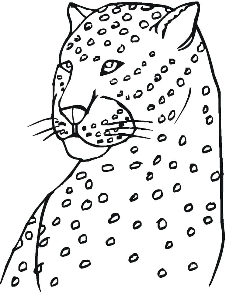Leopar Boyama Sayfası