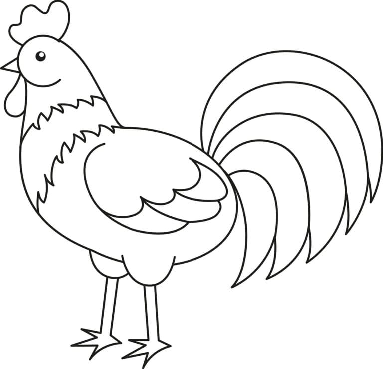 Horoz Boyama Sayfası