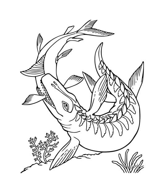 Mosasaurus Boyama Sayfası