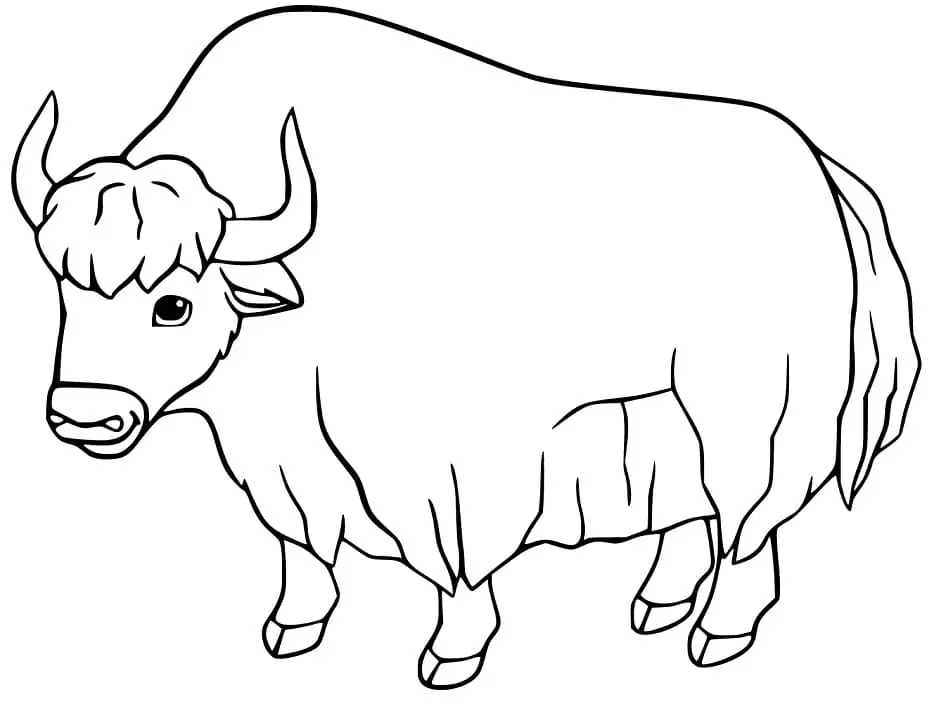 Yak Boyama Sayfası