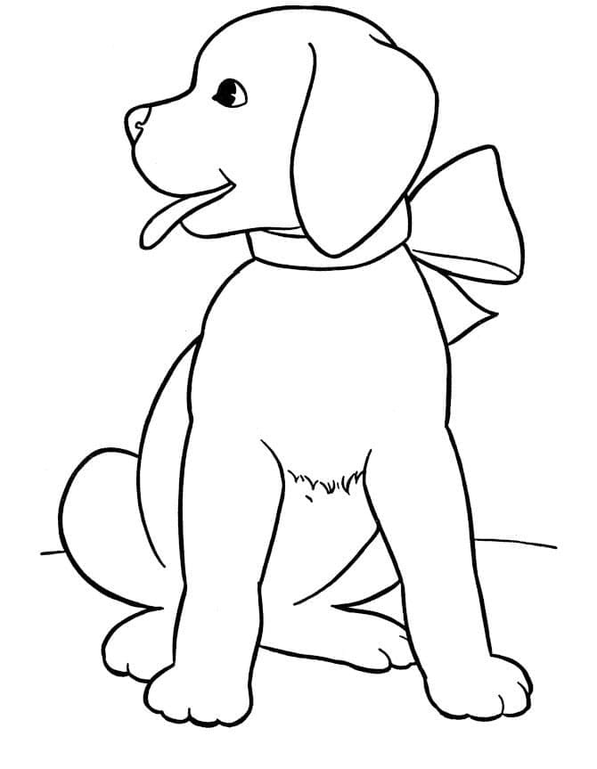 Oturan Köpek Boyama Sayfası