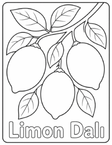 Limon Dalı Çizim Sayfası Boyama Sayfası İndir