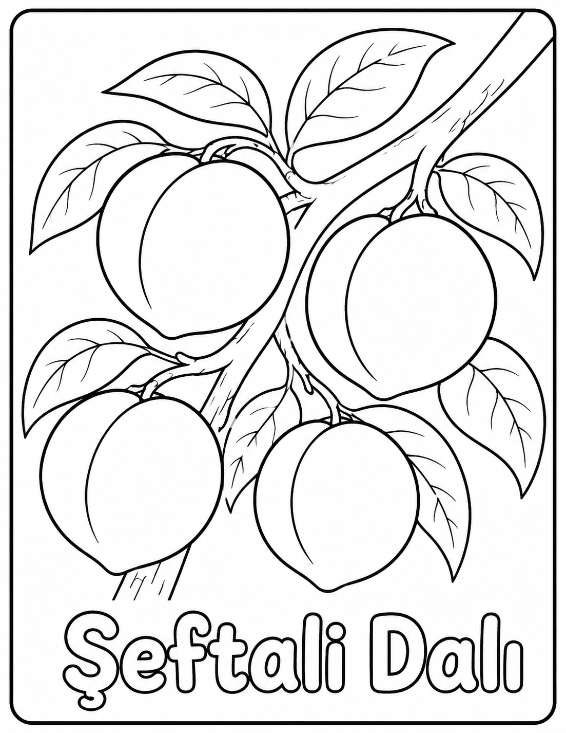 Şeftali Dalı Boyama Sayfası
