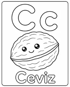 Ceviz Çizimi ve Eğitici Sayfa Boyama Sayfası İndir
